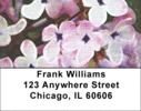 Lilac Oblata in Oil Address Labels