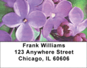 Lilac Pocahontas in Oil Address Labels