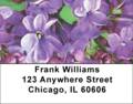 Lilac Pocahontas 2 in Oil Address Labels