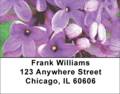 Lilac Rouen in Oil Address Labels