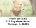 Lions Mane Address Labels