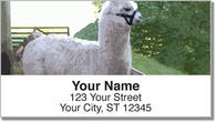 Llama & Alpaca Address Labels