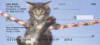 Maine Coon Kittens Personal Checks