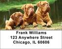 Majestic Mastiff Address Labels