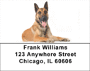 Malinois Labels - Belgian Malinois Address Labels
