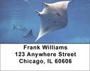 Manta Rays Address Labels