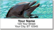 Marine Mammal Address Labels