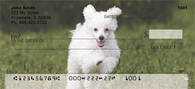 Mini Poodle Personal Checks