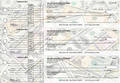 Money Accounts Payable Designer Business Checks