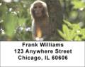 Monkeys Address Labels