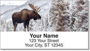 Moose Address Labels