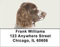 More English Spaniels Address Labels