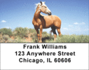 Mustang Labels - Mustang Horse Address Labels