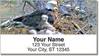 Nesting Eagle Address Labels