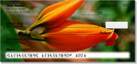 Orange Flower Checks