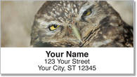 Owl Address Labels