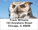 Owl Labels - Owls Address Labels