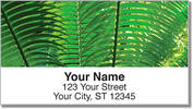 Palm Branch Address Labels