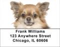 Papillon Address Labels