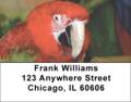 Parrot Labels - Macaws Up Close Address Labels
