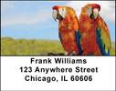 Parrots Address Labels