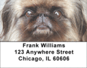 Pekingese Labels - Pekingese Address Labels