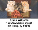 Persian Kittens Address Labels