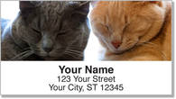 Pet Cat Address Labels