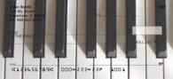 Piano Key Checks - Piano Keys Personal Checks