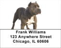 Pit Bull Address Labels - Pit Bulls Labels