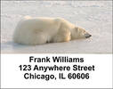 Polar Bears Address Labels