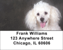 Poodle Labels - Poodles Address Labels