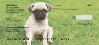 Pugs At The Park Personal Checks