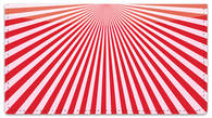 Red Starburst Checkbook Cover