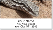 Reptile & Amphibian Address Labels