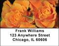 Roses Address Labels