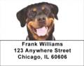 Rottweiler Labels - Rottweilers Address Labels