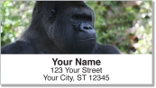 Safari Animal Address Labels