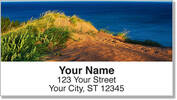 Sand Dune Address Labels