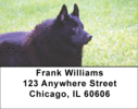 Schipperke Labels - Schipperke Address Labels