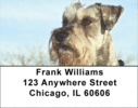 Schnauzer Labels - Miniature Schnauzers Address Labels