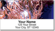 Sea Anemone Address Labels