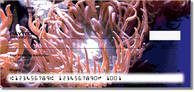 Sea Anemone Checks