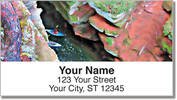 Sea Cave Address Labels