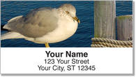 Seagull Address Labels