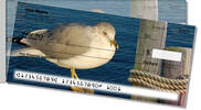 Seagull Side Tear Checks