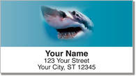 Shark Address Labels