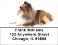 Shetland Sheepdog Address Labels - Sheepdog Labels