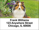 Shetland Sheepdog Address Labels