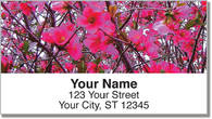 Southern Daze Address Labels